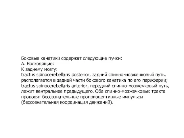 Боковые канатики содержат следующие пучки: А. Восходящие: К заднему мозгу: tractus