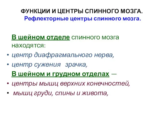 ФУНКЦИИ И ЦЕНТРЫ СПИННОГО МОЗГА. Рефлекторные центры спинного мозга. В шейном