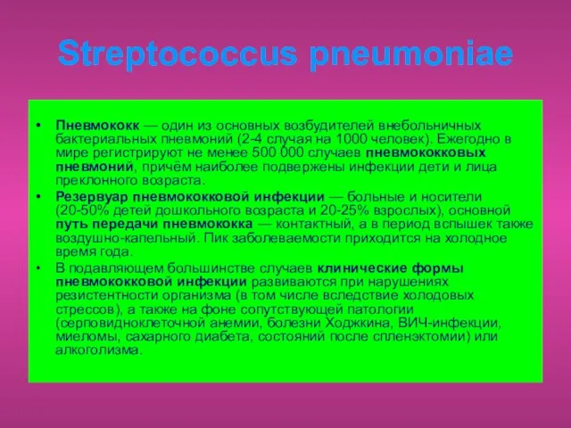 Streptococcus pneumoniae Пневмококк — один из основных возбудителей внебольничных бактериальных пневмоний