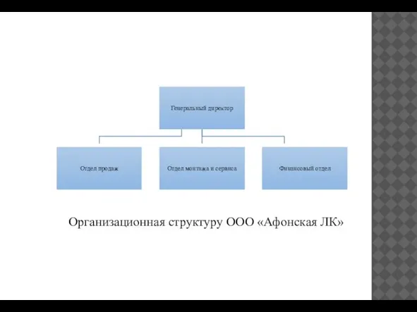 Организационная структуру ООО «Афонская ЛК»