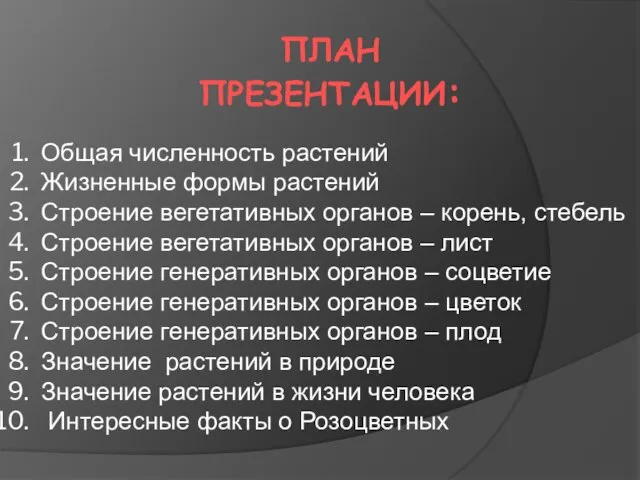 ПЛАН ПРЕЗЕНТАЦИИ: Общая численность растений Жизненные формы растений Строение вегетативных органов