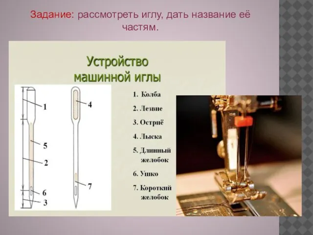 Задание: рассмотреть иглу, дать название её частям.