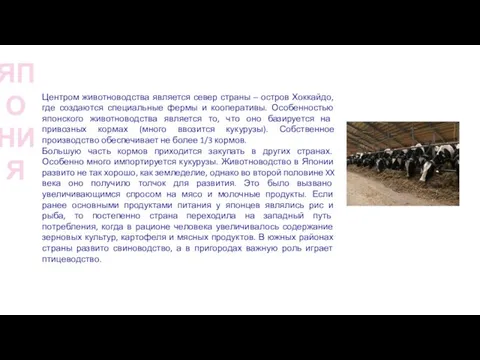 ЯПОНИЯ Центром животноводства является север страны – остров Хоккайдо, где создаются