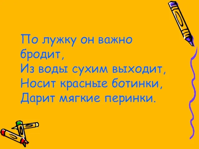 По лужку он важно бродит, Из воды сухим выходит, Носит красные ботинки, Дарит мягкие перинки.