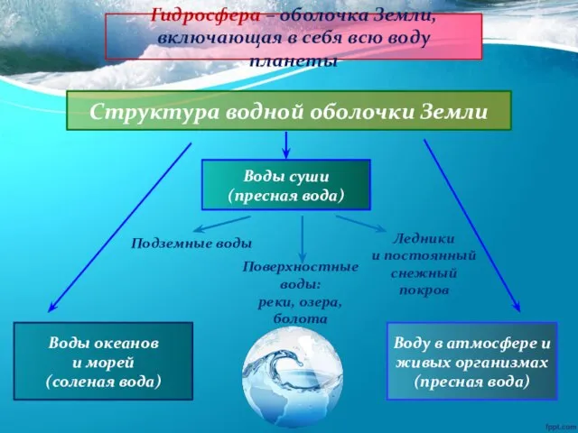 Гидросфера – оболочка Земли, включающая в себя всю воду планеты Структура