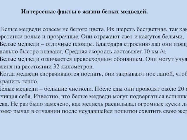 Интересные факты о жизни белых медведей. Белые медведи совсем не белого