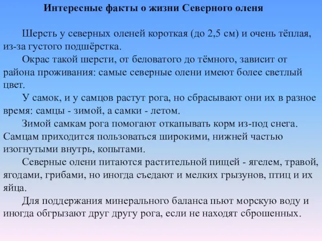 Интересные факты о жизни Северного оленя Шерсть у северных оленей короткая