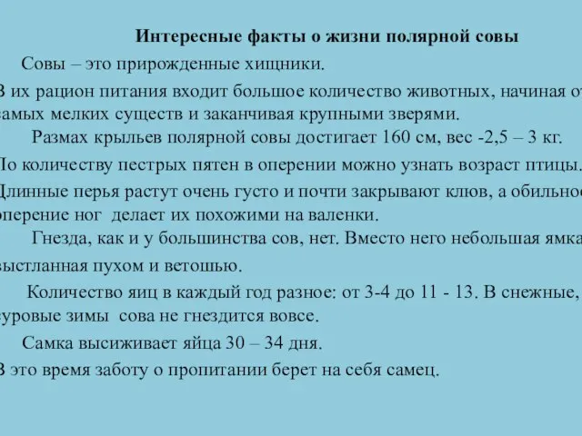 Интересные факты о жизни полярной совы Совы – это прирожденные хищники.