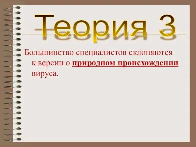 Большинство специалистов склоняются к версии о природном происхождении вируса. Теория 3