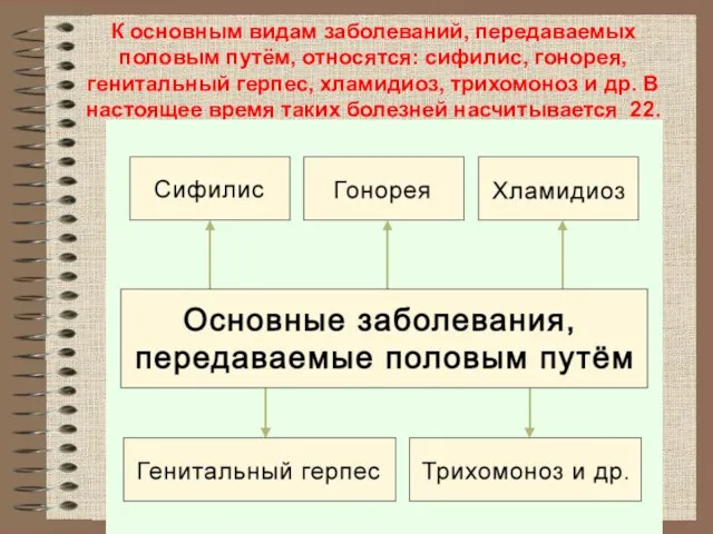 К основным видам заболеваний, передаваемых половым путём, относятся: сифилис, гонорея, генитальный