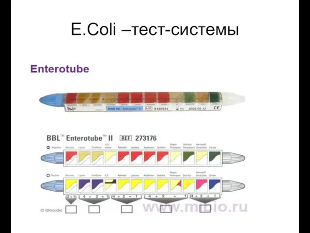 E.Coli –тест-системы