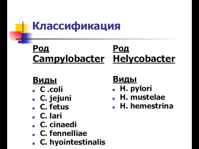 Классификация Род Campylobacter Виды C .coli C. jejuni C. fetus C.