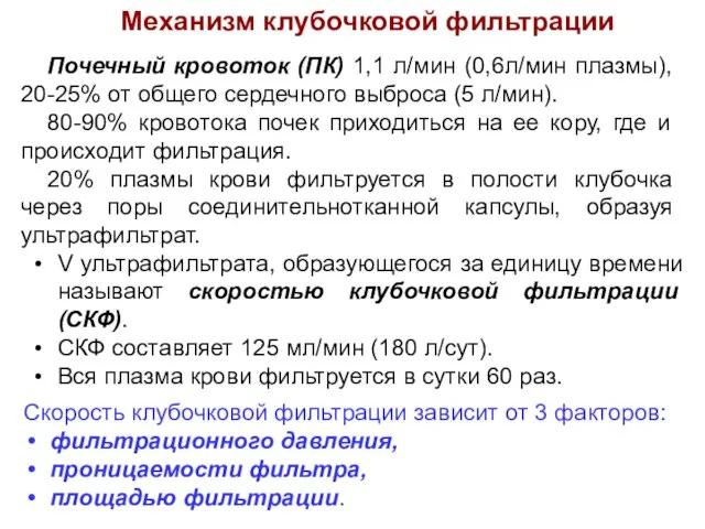 Механизм клубочковой фильтрации Почечный кровоток (ПК) 1,1 л/мин (0,6л/мин плазмы), 20-25%