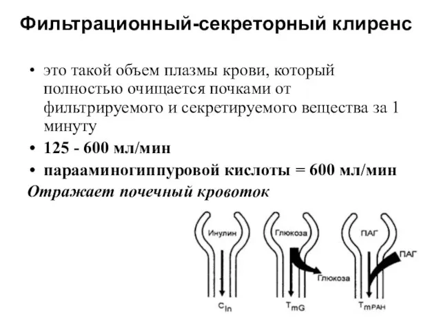 это такой объем плазмы крови, который полностью очищается почками от фильтрируемого