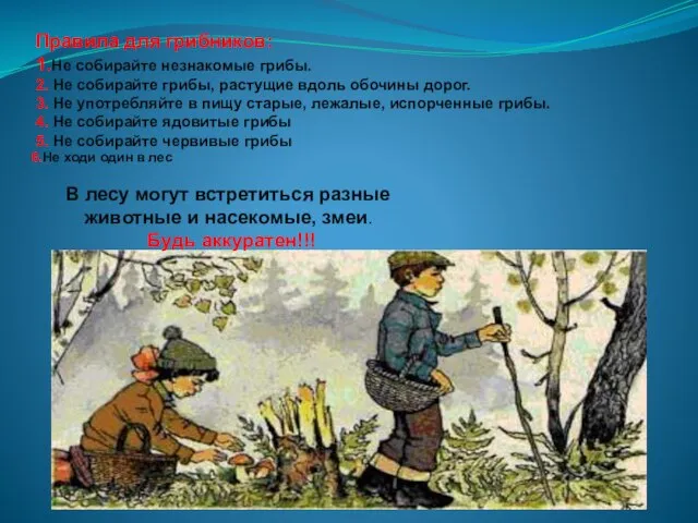 Правила для грибников: 1.Не собирайте незнакомые грибы. 2. Не собирайте грибы,