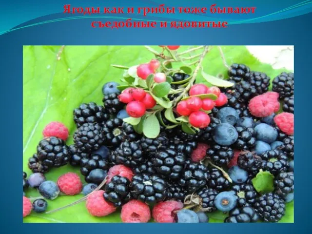 Ягоды как и грибы тоже бывают съедобные и ядовитые
