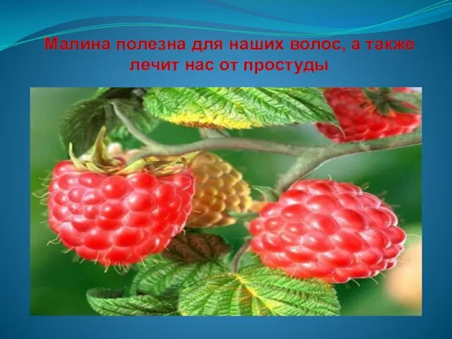 Малина полезна для наших волос, а также лечит нас от простуды