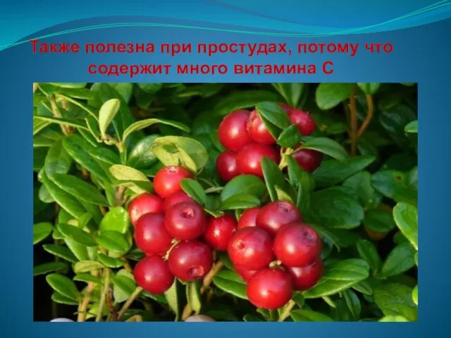 Также полезна при простудах, потому что содержит много витамина С