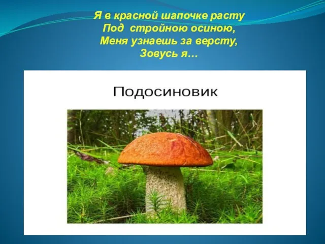 Я в красной шапочке расту Под стройною осиною, Меня узнаешь за версту, Зовусь я…