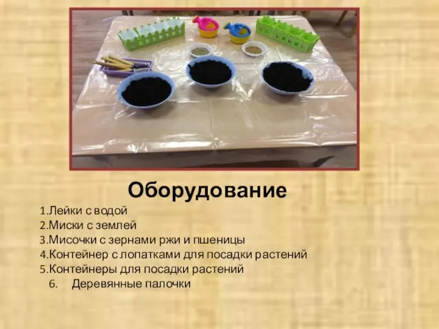 Оборудование Лейки с водой Миски с землей Мисочки с зернами ржи