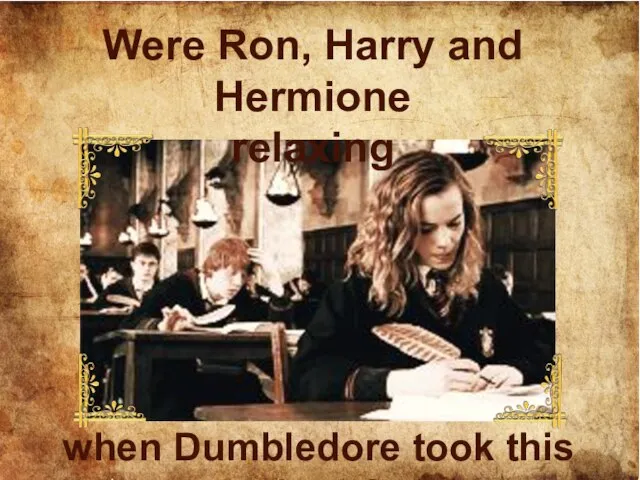 Were Ron, Harry and Hermione relaxing when Dumbledore took this photo?