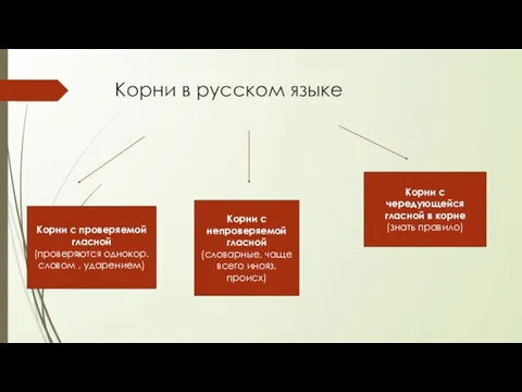 Корни в русском языке Корни с проверяемой гласной (проверяются однокор.словом ,