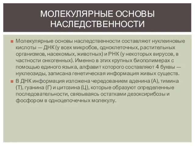 Молекулярные основы наследственности составляют нуклеиновые кислоты — ДНК (у всех микробов,