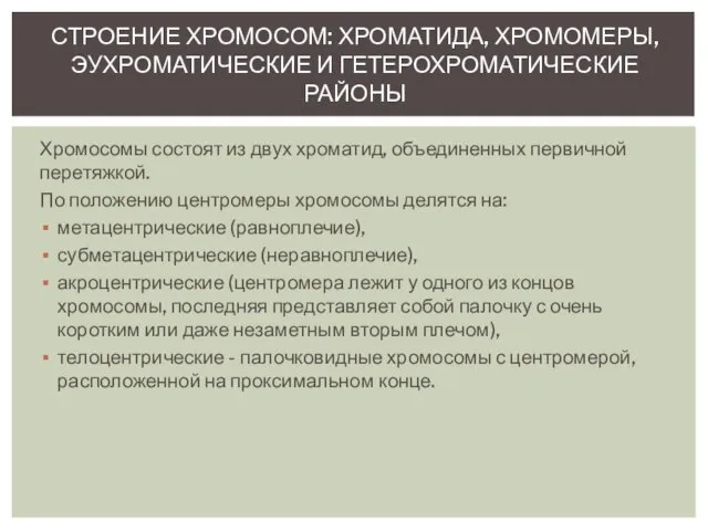 СТРОЕНИЕ ХРОМОСОМ: ХРОМАТИДА, ХРОМОМЕРЫ, ЭУХРОМАТИЧЕСКИЕ И ГЕТЕРОХРОМАТИЧЕСКИЕ РАЙОНЫ Хромосомы состоят из