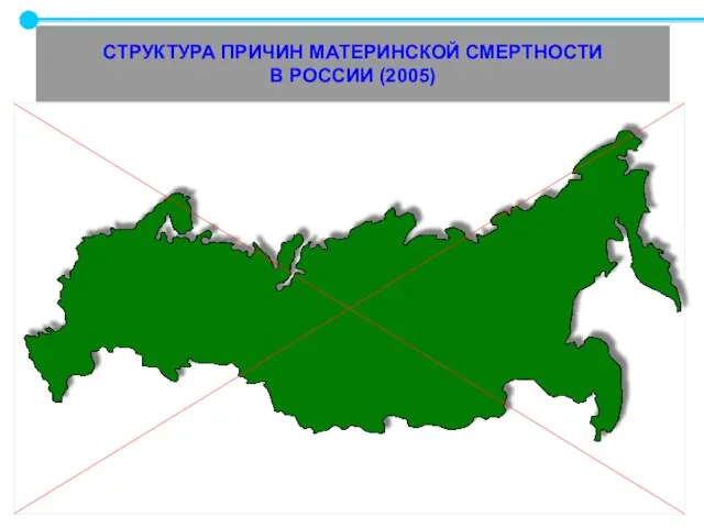 СТРУКТУРА ПРИЧИН МАТЕРИНСКОЙ СМЕРТНОСТИ В РОССИИ (2005)