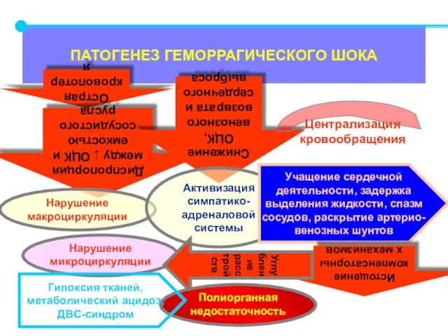 ПАТОГЕНЕЗ ГЕМОРРАГИЧЕСКОГО ШОКА Острая кровопотеря Диспропорция между ↓ ОЦК и емкостью