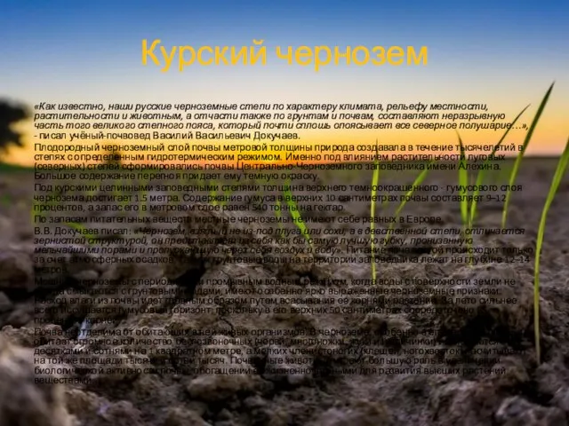 Курский чернозем «Как известно, наши русские черноземные степи по характеру климата,