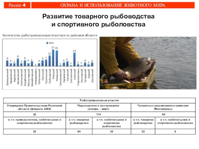 Количество рыбопромысловых участков по районам области Развитие товарного рыбоводства и спортивного рыболовства