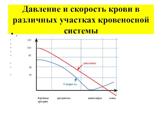 Давление и скорость крови в различных участках кровеносной системы . 120