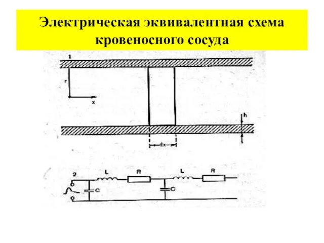 Электрическая эквивалентная схема кровеносного сосуда