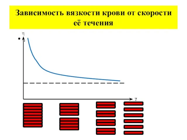 Зависимость вязкости крови от скорости её течения . η γ