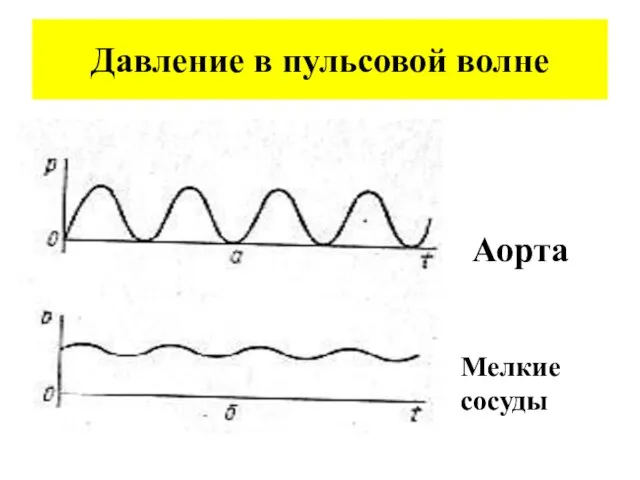 Давление в пульсовой волне Аорта Мелкие сосуды