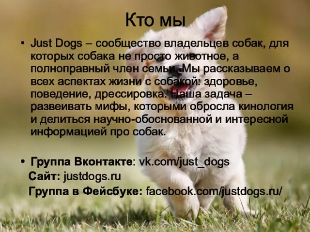 Кто мы Just Dogs – сообщество владельцев собак, для которых собака