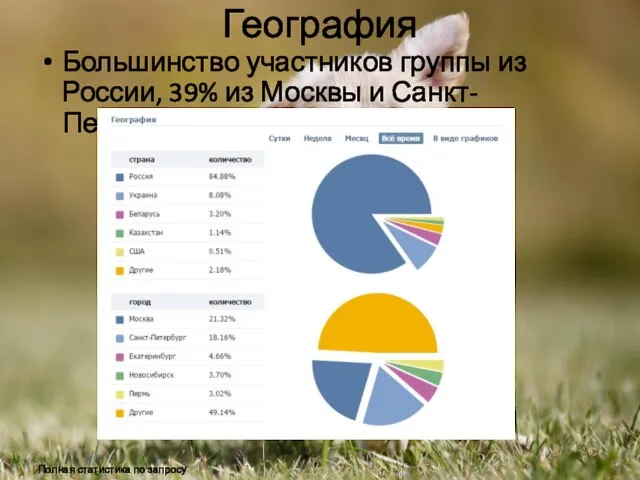 География Большинство участников группы из России, 39% из Москвы и Санкт-Петербурга: Полная статистика по запросу