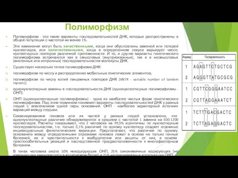 Полиморфизм Полиморфизм - это такие варианты последовательностей ДНК, которые распространены в