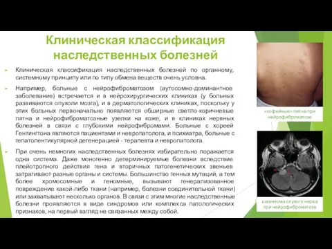 Клиническая классификация наследственных болезней Клиническая классификация наследственных болезней по органному, системному