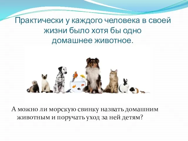 Практически у каждого человека в своей жизни было хотя бы одно