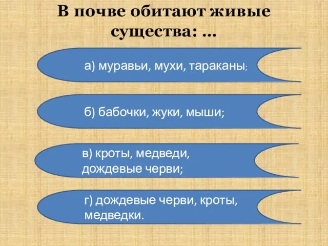 В почве обитают живые существа: … а) муравьи, мухи, тараканы; б)