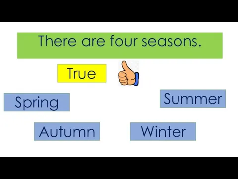 There are four seasons. True Spring Summer Autumn Winter