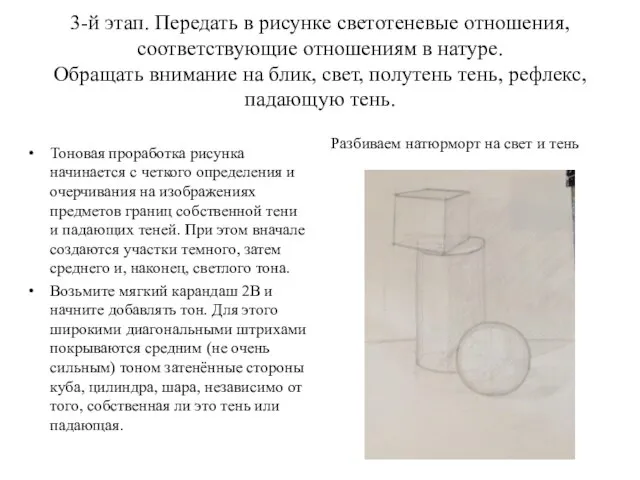 3-й этап. Передать в рисунке светотеневые отношения, соответствующие отношениям в натуре.