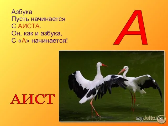 Азбука Пусть начинается С АИСТА. Он, как и азбука, С «А» начинается! А АИСТ