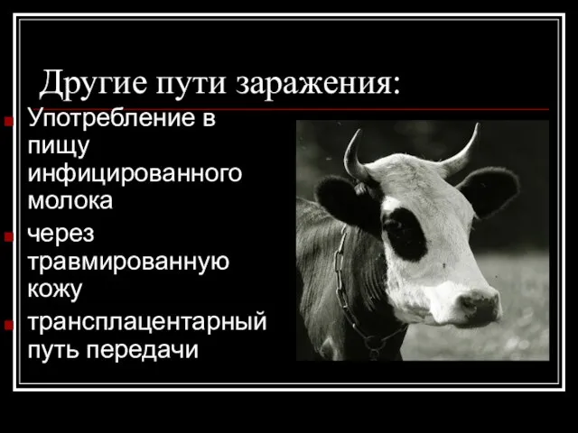 Другие пути заражения: Употребление в пищу инфицированного молока через травмированную кожу трансплацентарный путь передачи