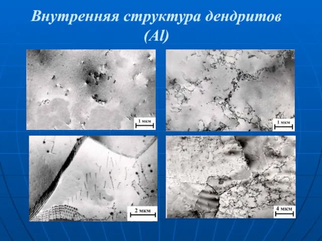 Внутренняя структура дендритов (Al)