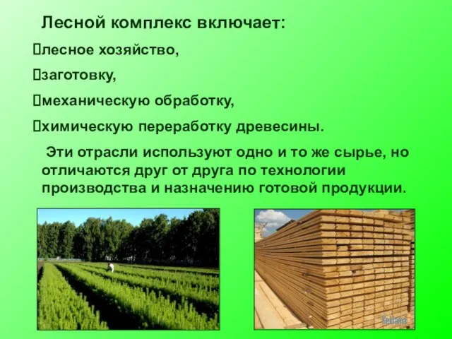 Лесной комплекс включает: лесное хозяйство, заготовку, механическую обработку, химическую переработку древесины.