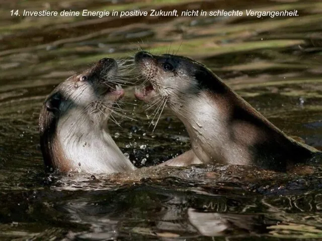 14. Investiere deine Energie in positive Zukunft, nicht in schlechte Vergangenheit.