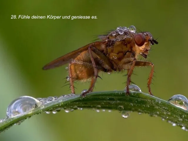 28. Fühle deinen Körper und geniesse es.